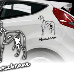 Auto Aufkleber Azawakh afrikanischer Windhund