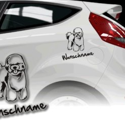 Auto Aufkleber Bichon Frise