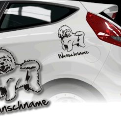 Auto Aufkleber Bologneser Bichon Bolognese