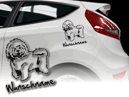 Auto Aufkleber Bologneser Bichon Bolognese