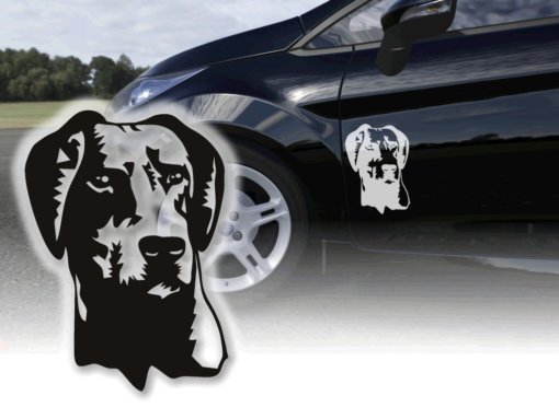 Auto Aufkleber Dobermann Schlappohren unkupiert Autoaufkleber Sticker