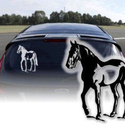 Auto Aufkleber Pferd Autoaufkleber Reiten Reitsport Sticker Pferde