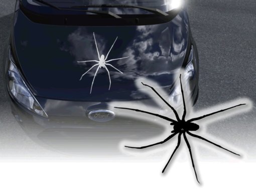 Autoaufkleber Spinne Sticker Spider Aufkleber