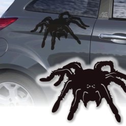 Autoaufkleber Vogelspinne Sticker Auto Spinnen Aufkleber